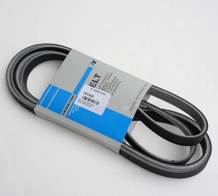781945 Correia THERMO KING para Slxe Slxi Spectrum