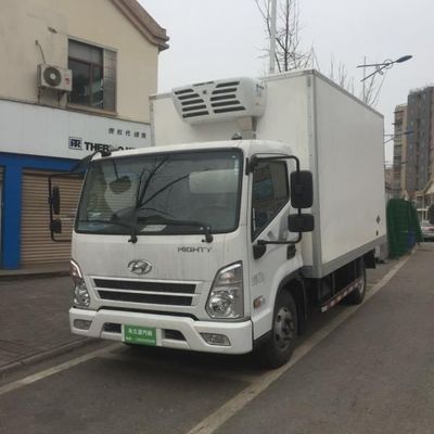 Mantenha refrigerar unidades de refrigeração Thermo do rei 2500m3 h para camionetes