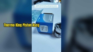 Conjunto de pistão de peças sobressalentes originais 220850 THERMO KING